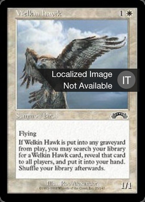 Falco Welkin