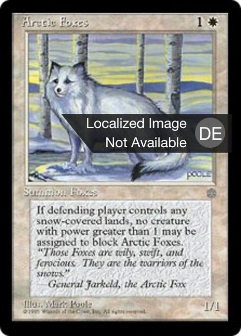 Polarfüchse