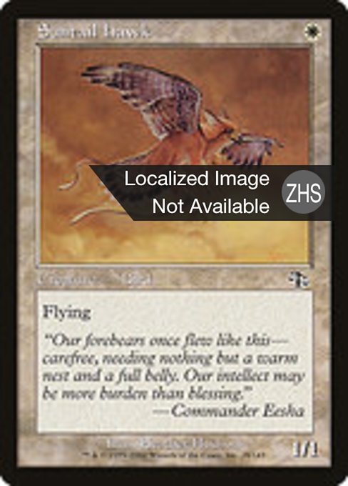 Suntail Hawk