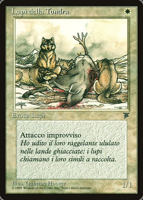 Lupi della Tundra