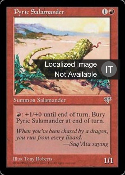 Salamandra di Fuoco