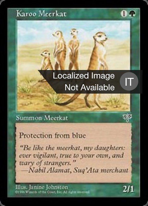 Meerkat Karoo