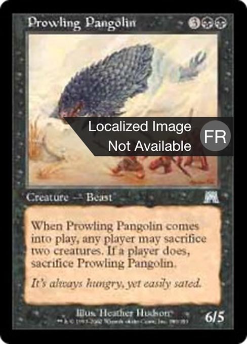 Pangolin rôdeur
