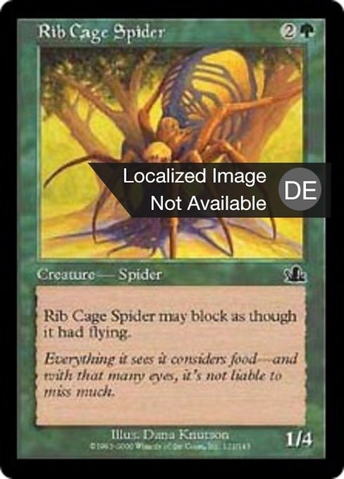 Brustkorbspinne