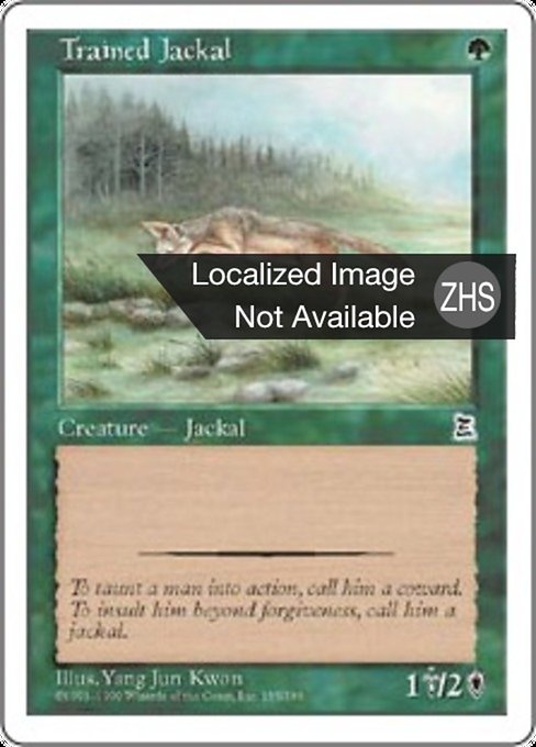 Trained Jackal