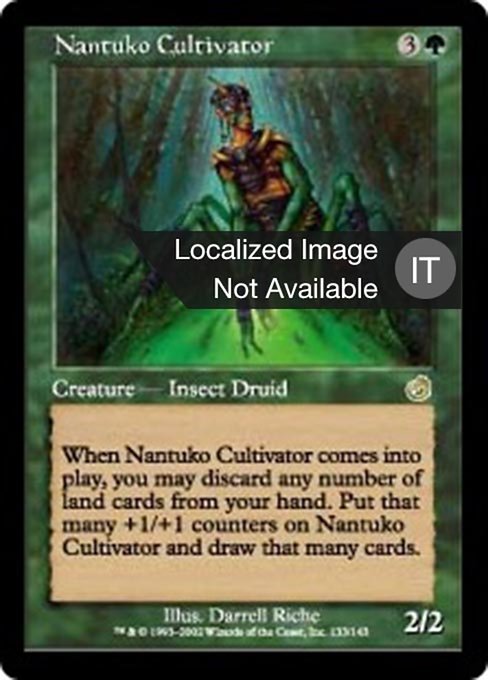 Cultore Nantuko
