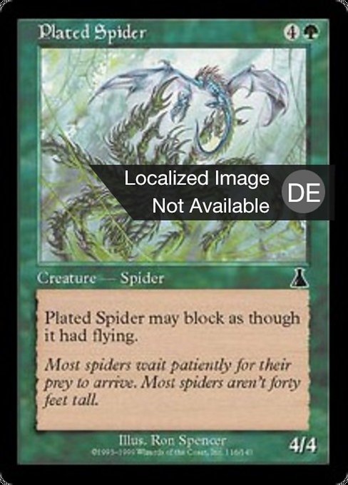 Plattenpanzerspinne