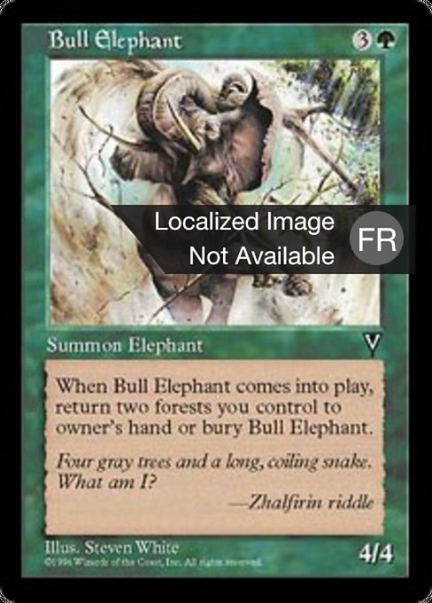 Eléphant mâle
