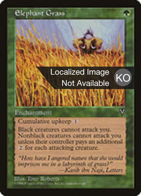 Elephant Grass